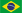 Português brasileiro