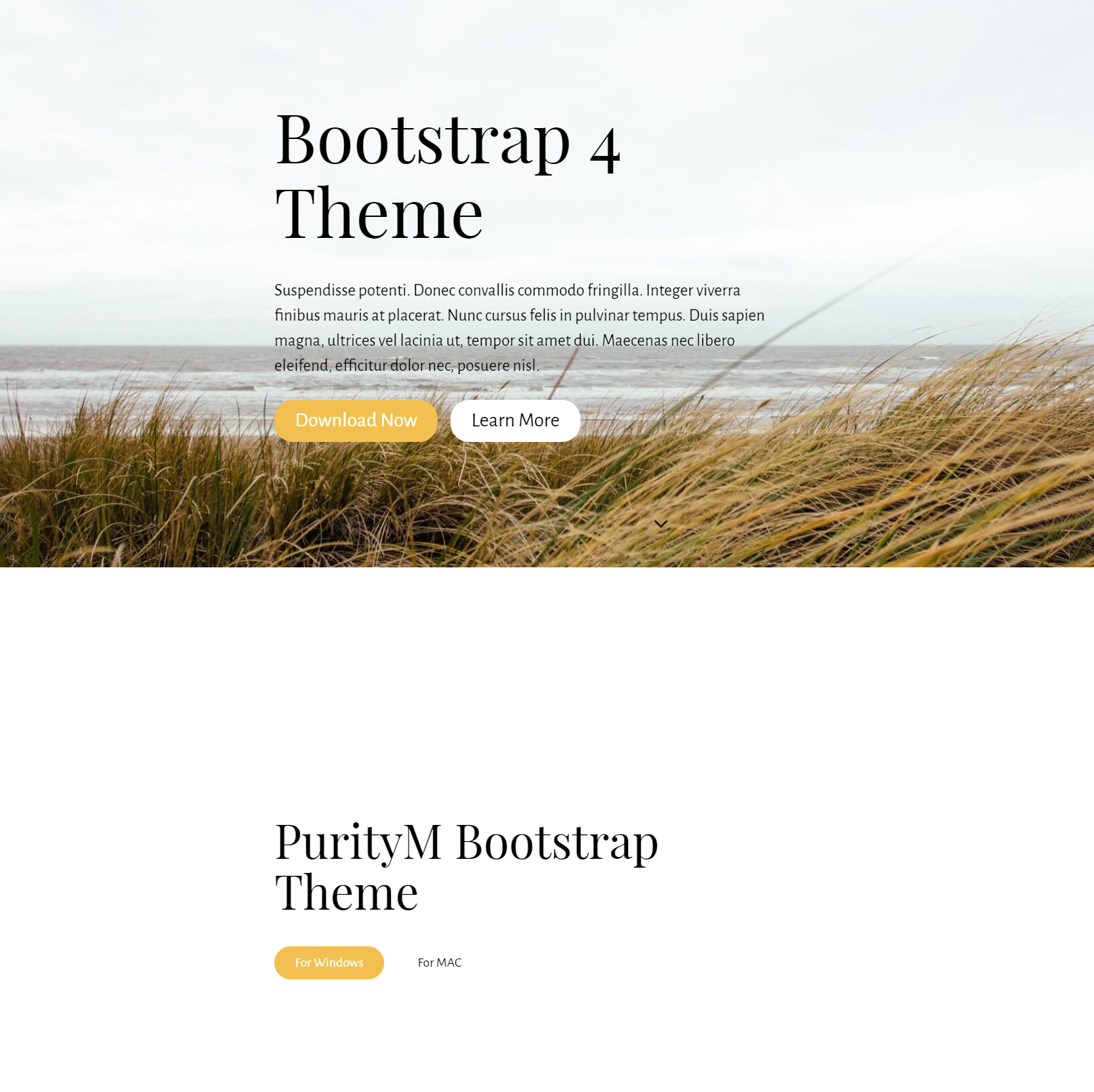 HTML Bootstrap 4 Themes