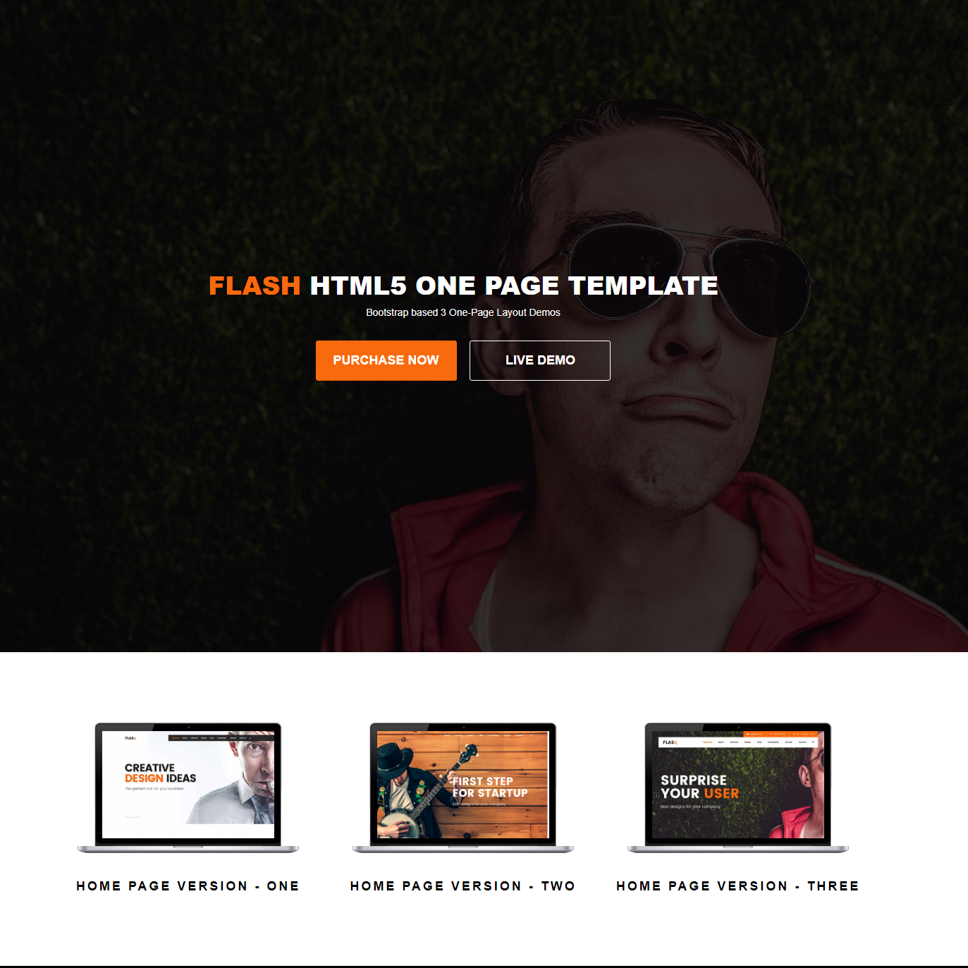 html flash templates