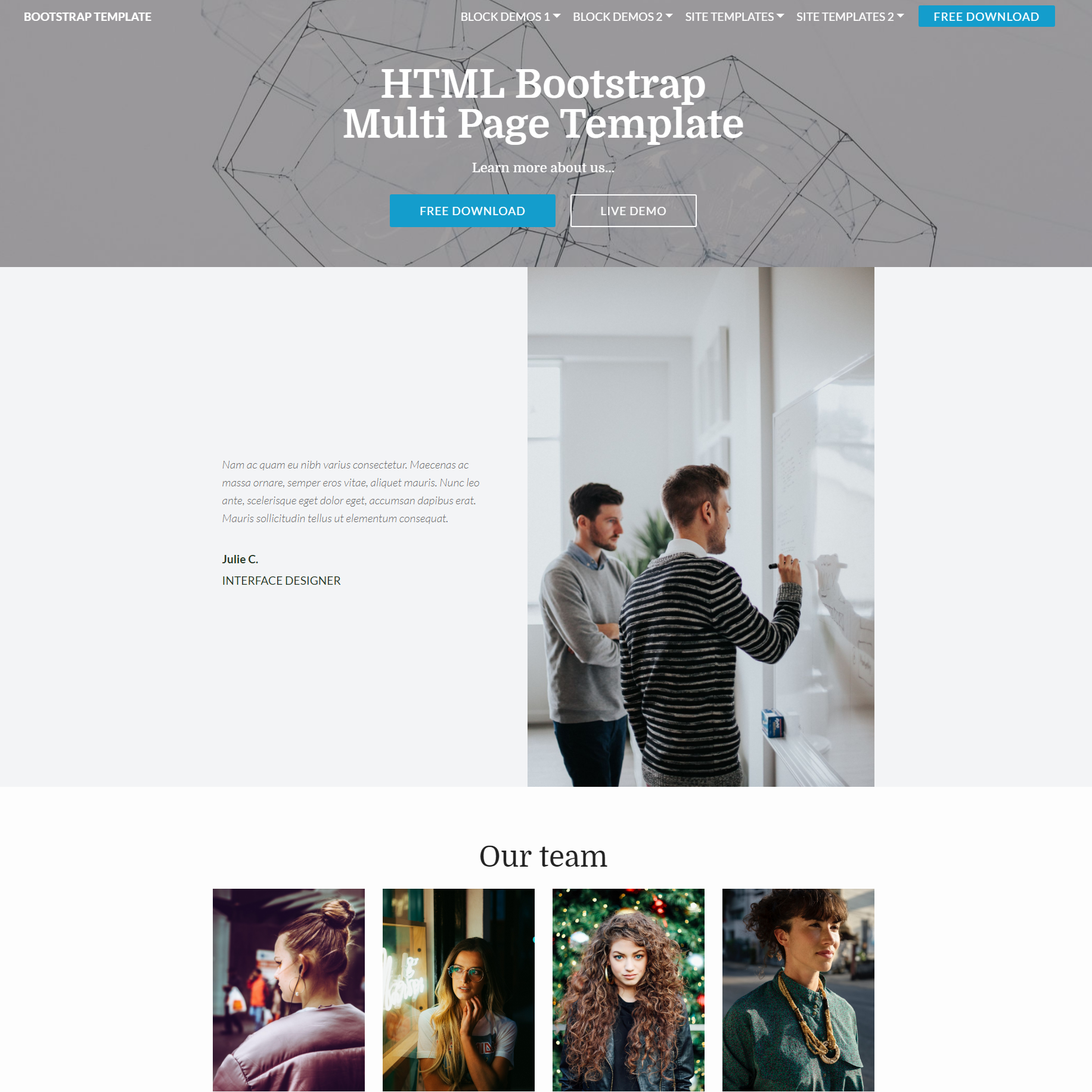 CSS3 Bootstrap Multi page Templates