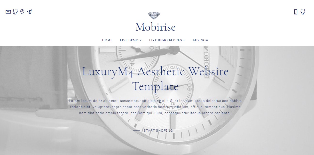 Aesthetic Website Template